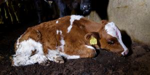 16226844697_aa353c4bb5_k