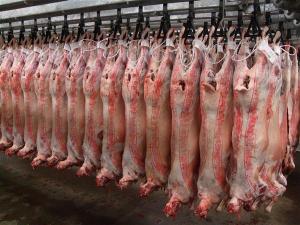 Lamb_Carcass_Cut_Whole_lamb_