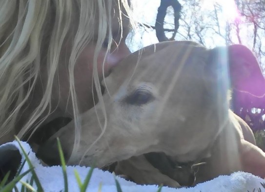 13177678_10153721902459220_3758676076156382397_n