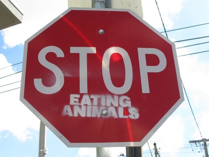 2360883544_837c53d336_z