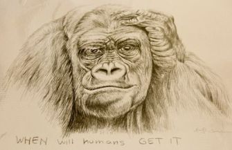 2db0e59eb60067a8cda84c23107ce364