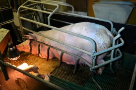 10841994855_124a26e829_h