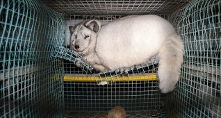 5451221556_cf8133b55b_o (1)_0