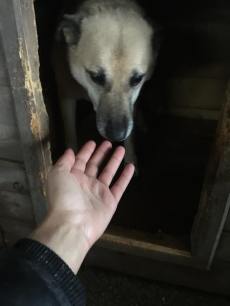 25498219_1587938864632205_788215659205805687_n