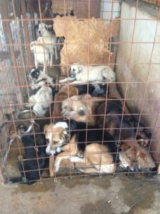 997038_678349698918557_7619002796127030637_n