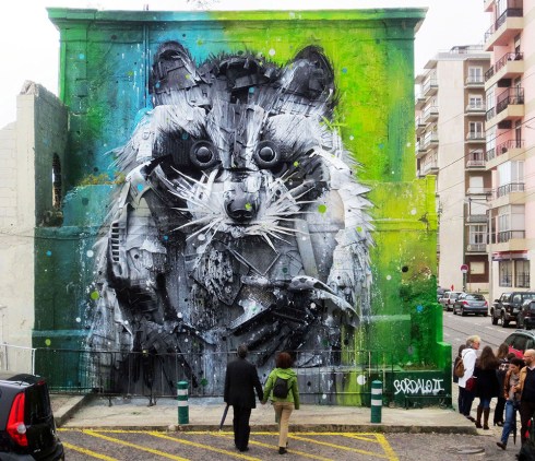 street_trash_animals_1