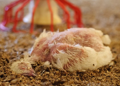 14092334469_7cf3edb782_z