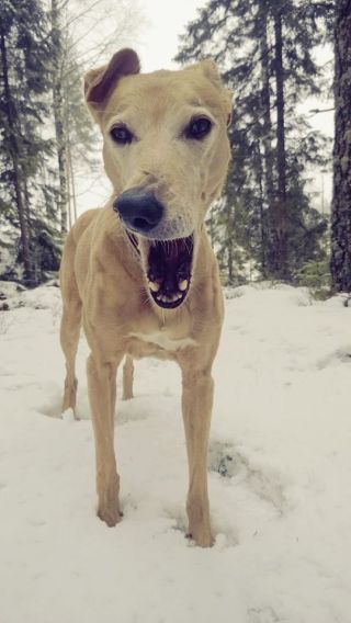 11037220_10152767714134220_4262170606509115764_o