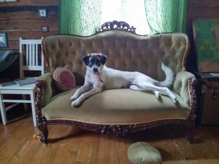 14051732_10153983760434220_4817507568696323210_n